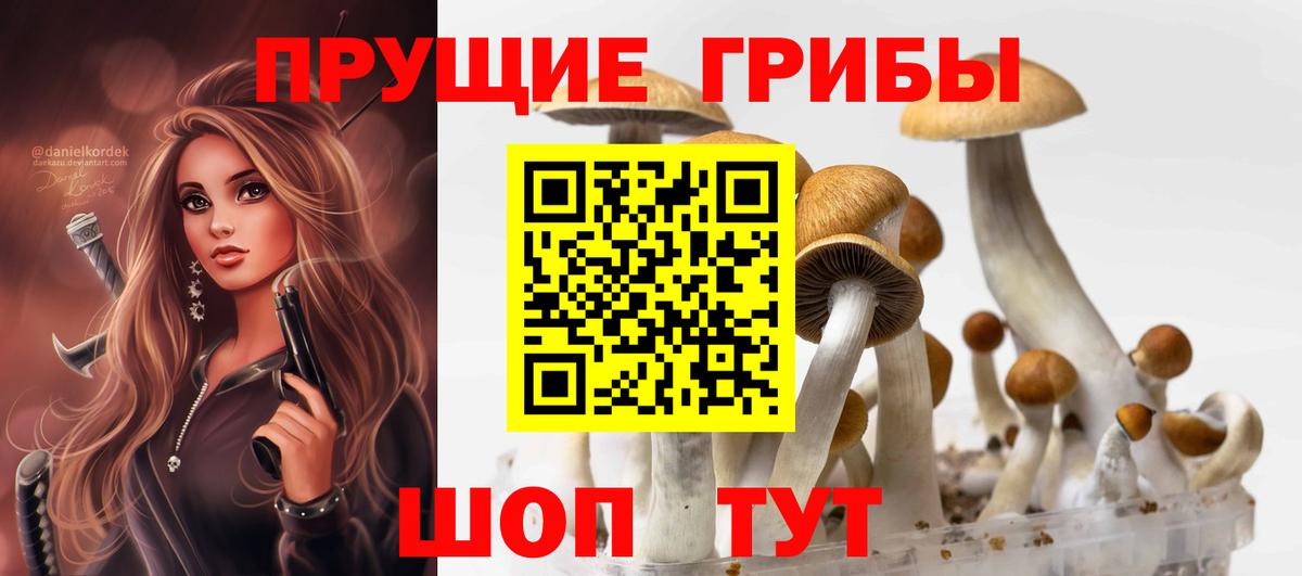 Коломна  Галлюциногенные грибы Magic Shrooms  Псилоцибиновые грибы Cubensis  Вход с VPN 