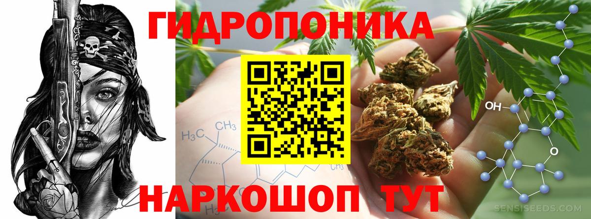 МАРИХУАНА OG Kush  Бошки Шишки марихуана  Коломна  Вход с VPN  Конопля план 